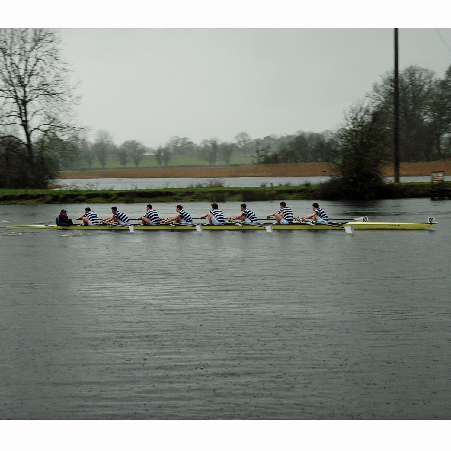The Senior 8+ driving for home