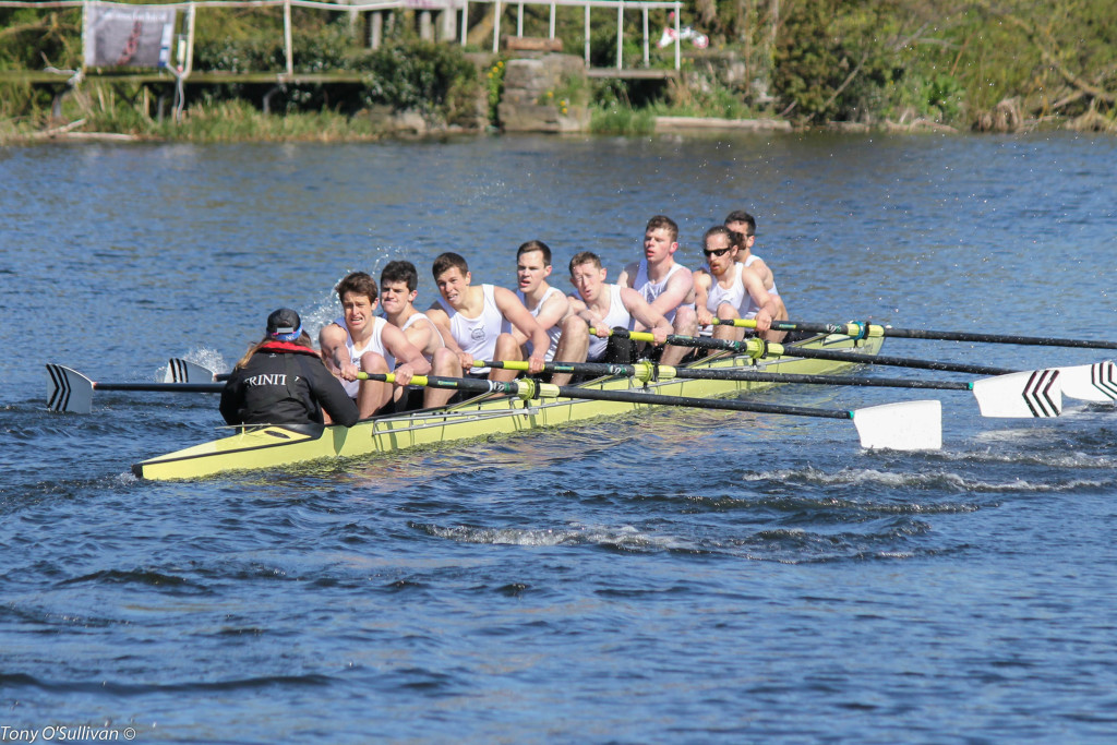 The Novice Eight, just pipped by Queen's University Belfast!